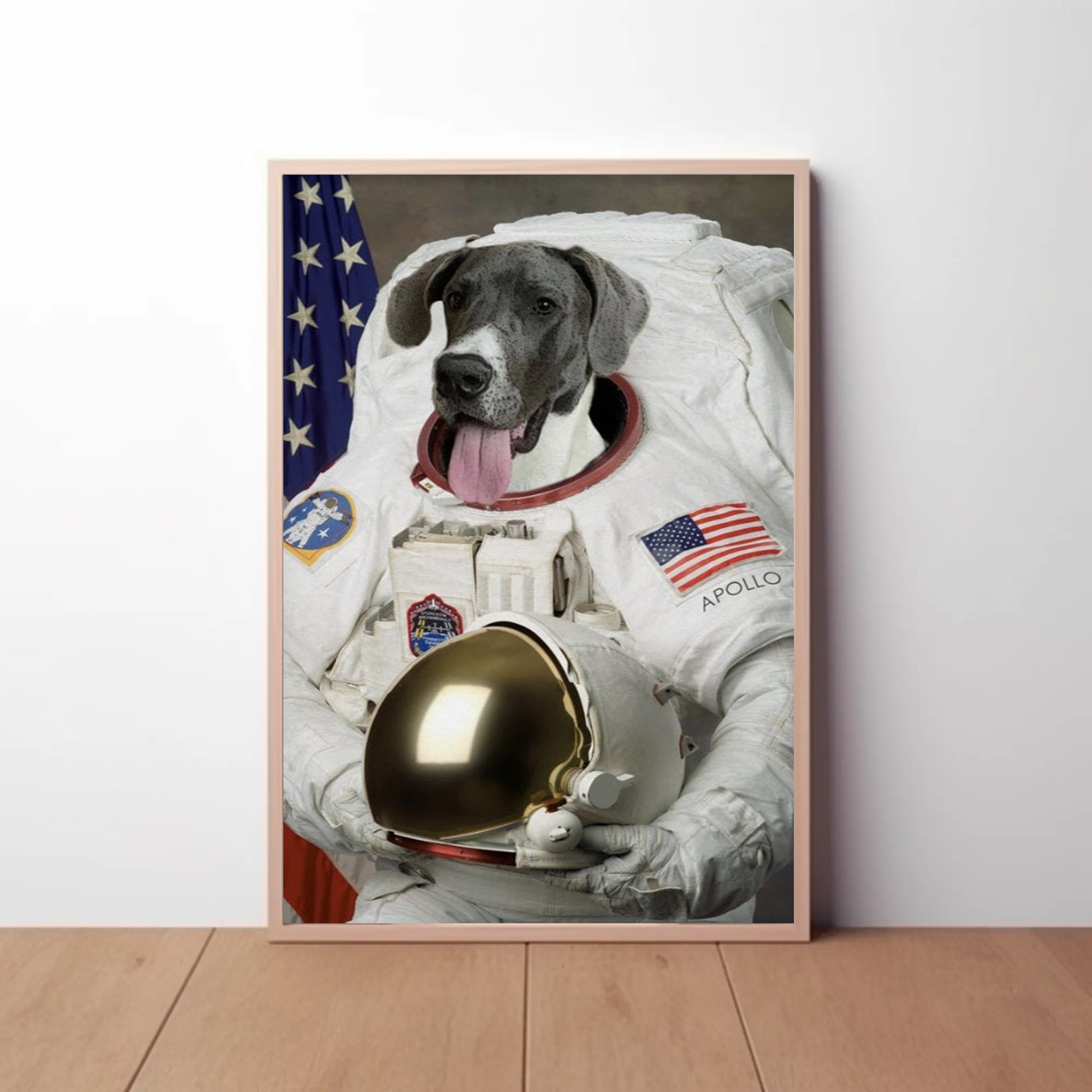 Astronaut